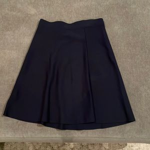 Navy Blue Skirt